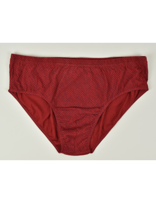Lot de 2 slips imprimés pur coton